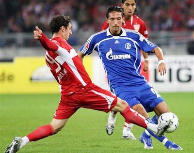 他們不僅可 他們不僅可